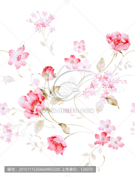 花卉素材