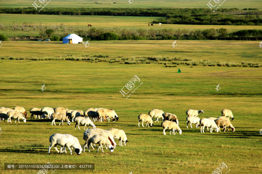 草原牧场羊群蒙古包
