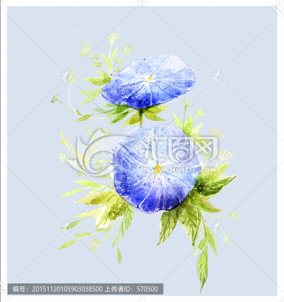 牽?；?喇叭花