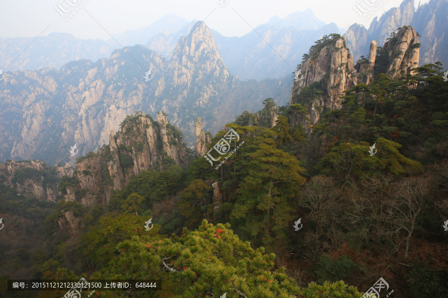 黄山松林石峰