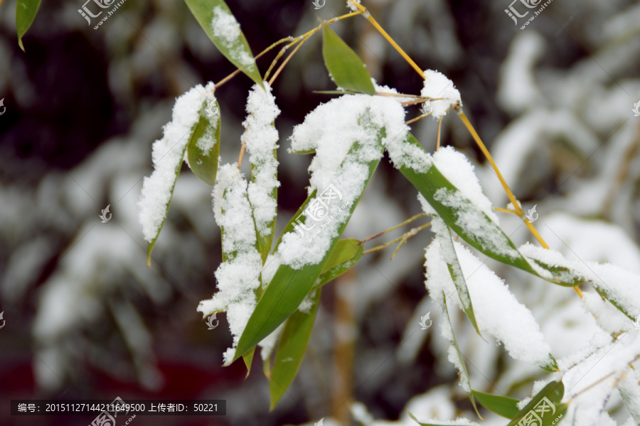 雪