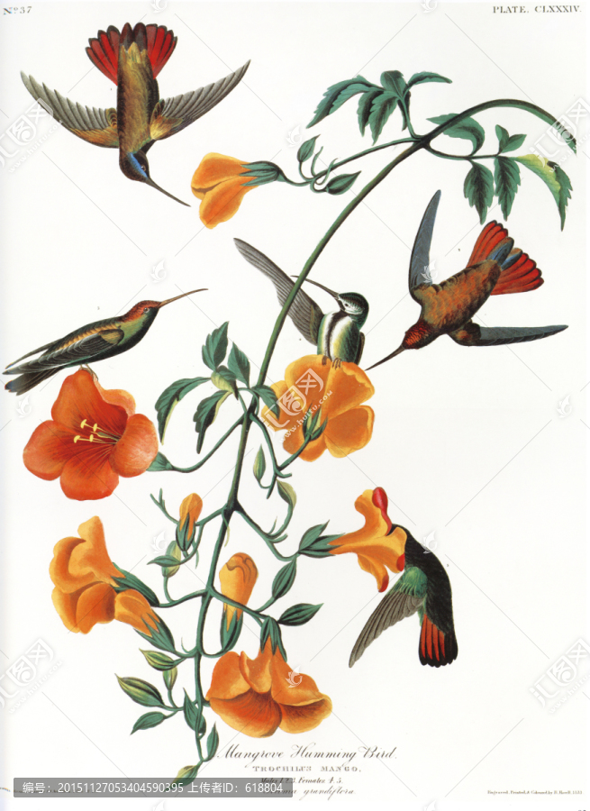 花鳥裝飾畫
