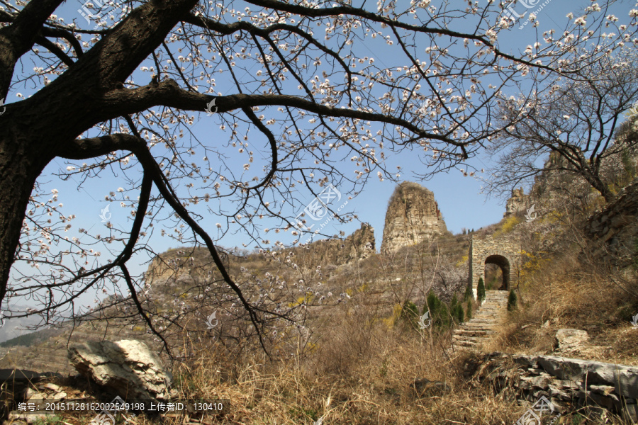 齐长城,春天