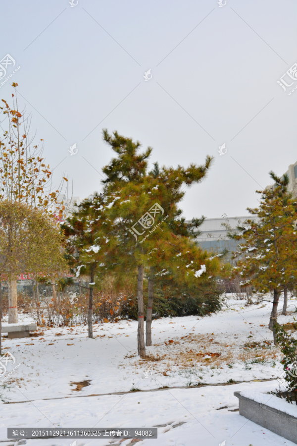 雪景