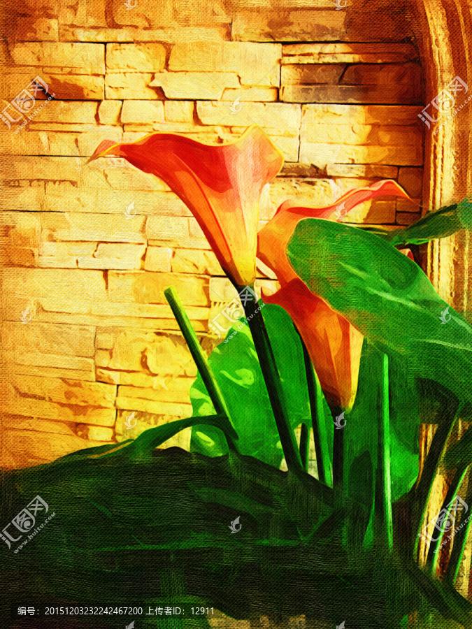馬蹄蓮,花卉油畫