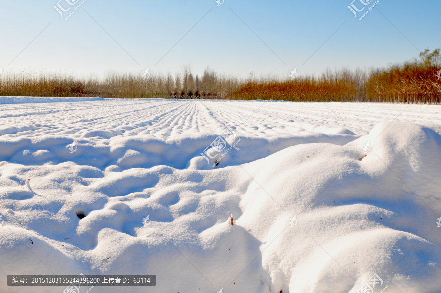 北方天空,大雪,雪后田野,天气