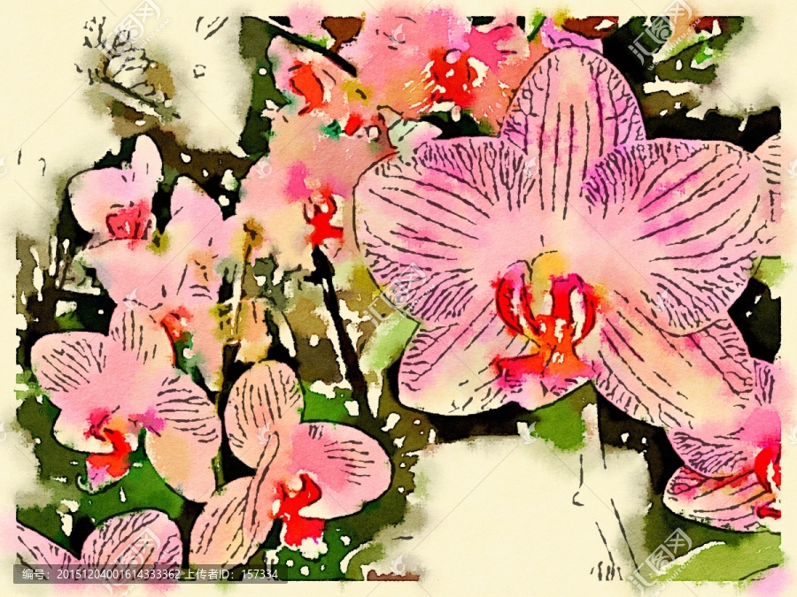 水彩花卉,裝飾畫