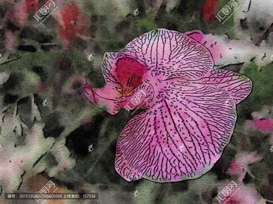 裝飾花卉