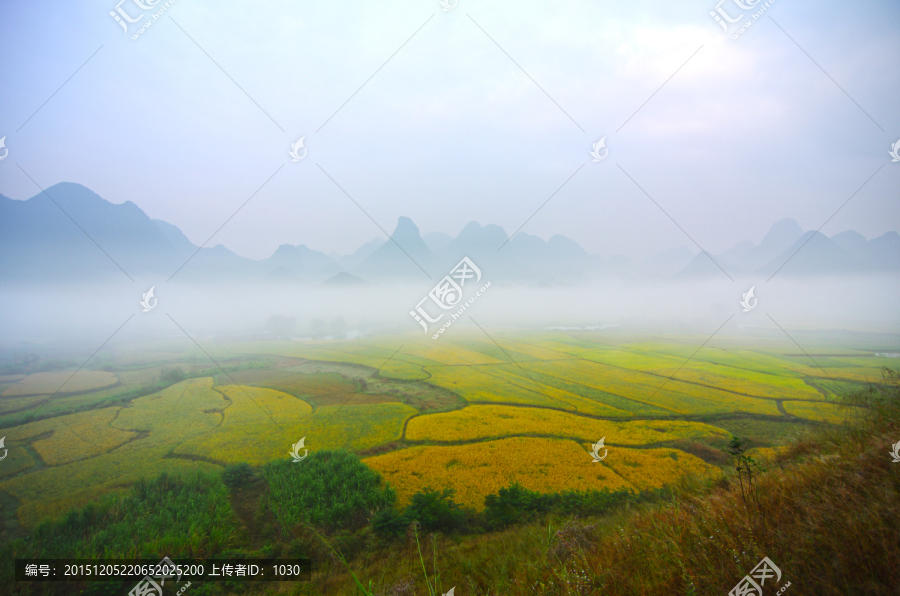 田园,噪点,胶片风格