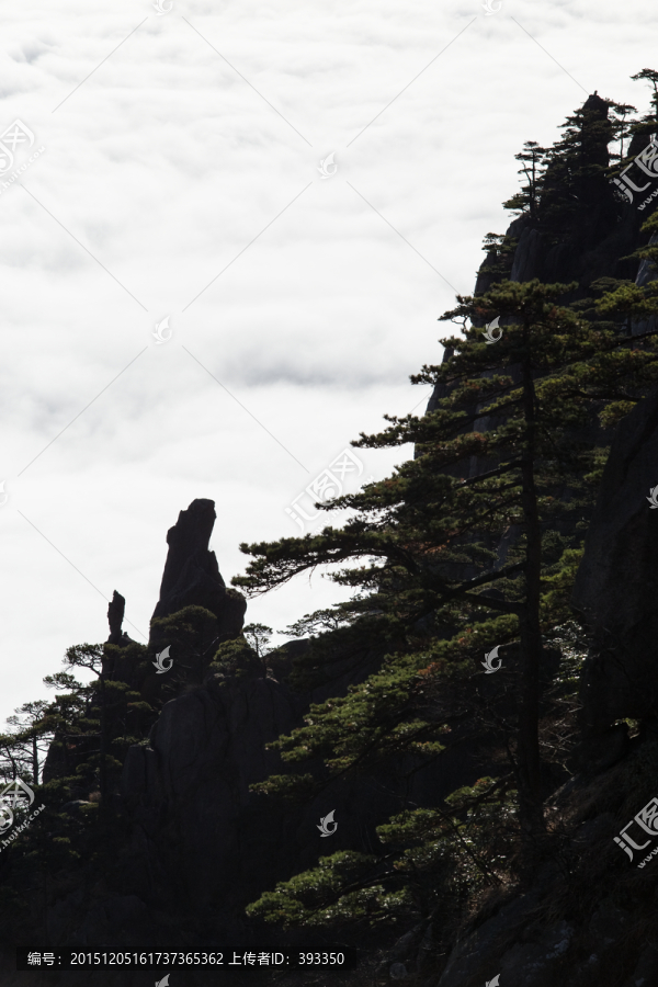 西海大峽谷,白云谷,云海蒼茫