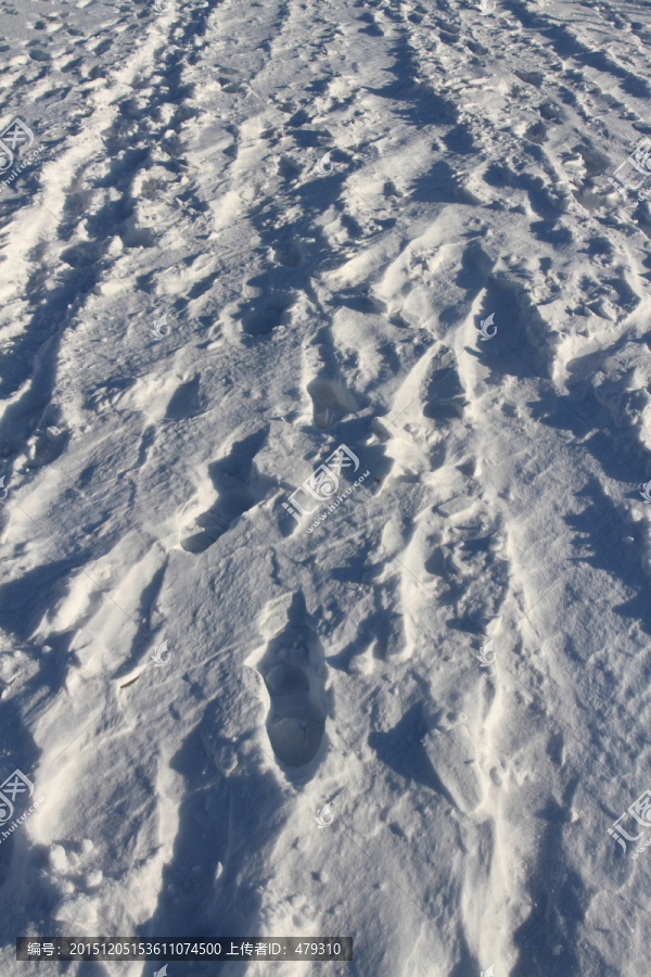 冬天,雪,白雪