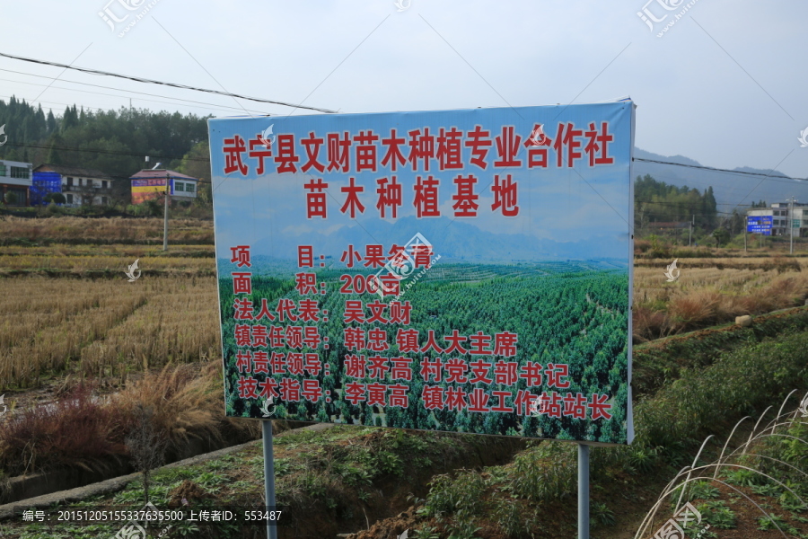 苗木种植专业合作社宣传牌