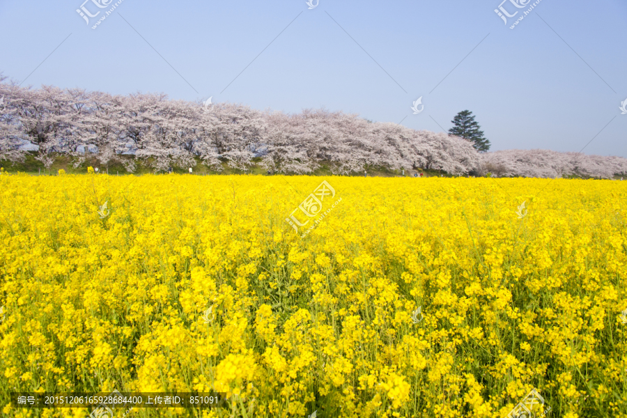 日本旅游度假区