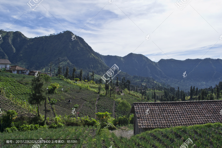 婆罗摩火山