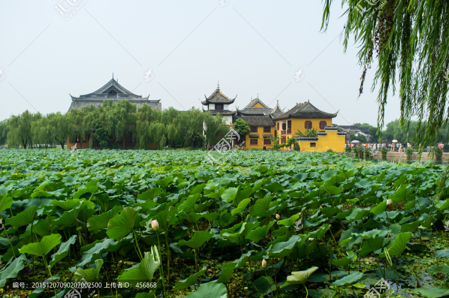 莲池禅院,锦溪古镇