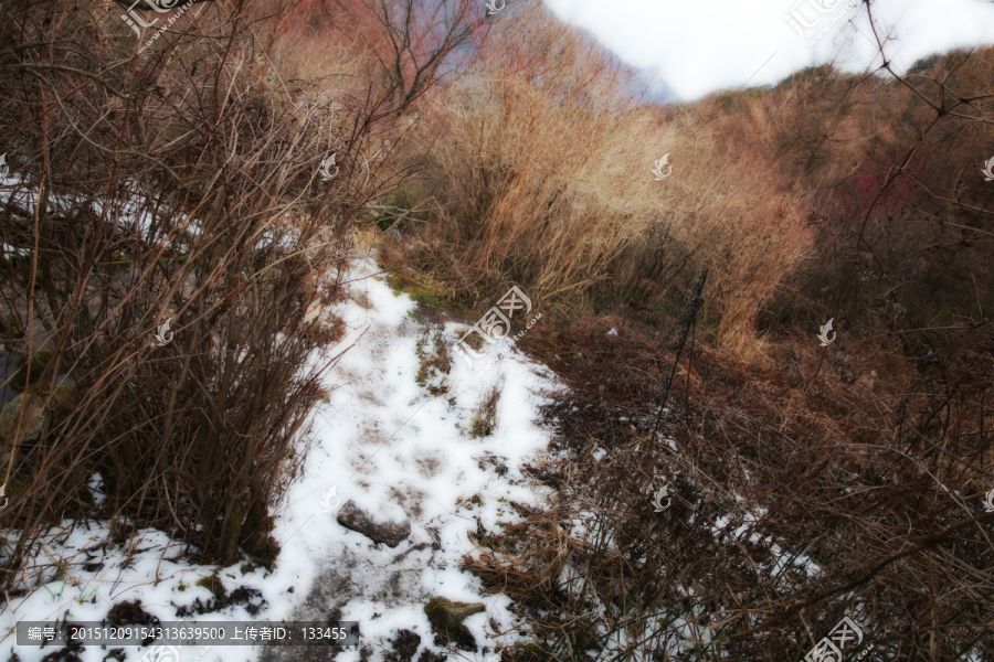 秦岭山间