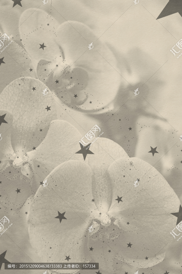 素雅星星蝴蝶蘭底紋