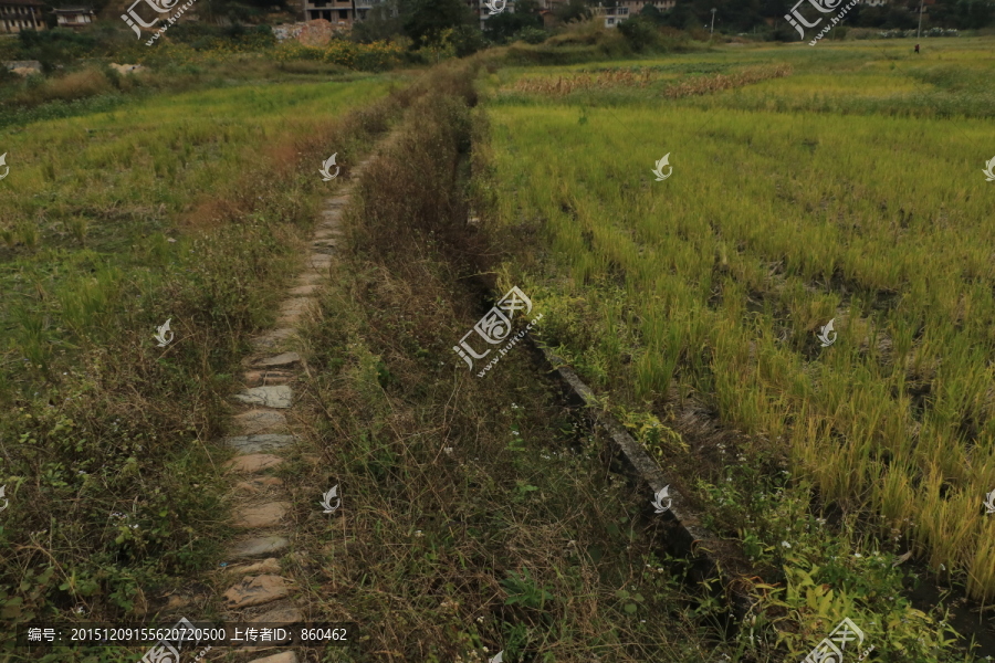 乡间小道