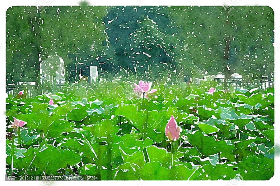荷花池塘,裝飾水彩畫