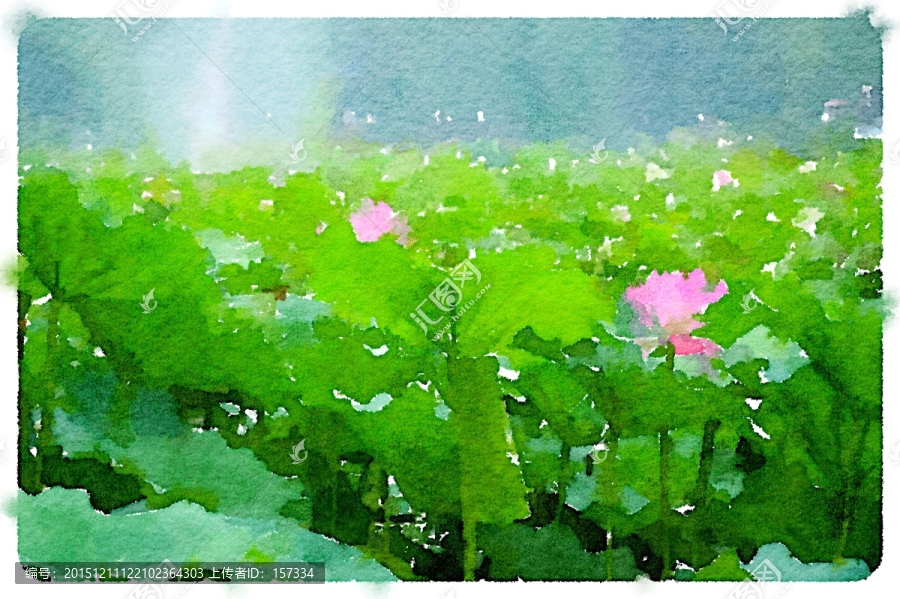 荷花池塘,水彩畫寫生