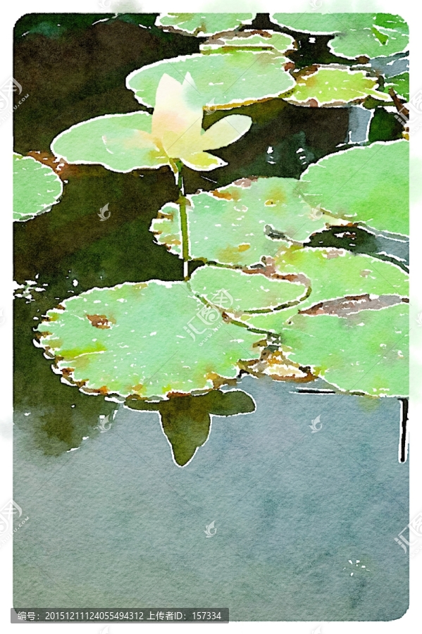 荷花水彩畫(huà)