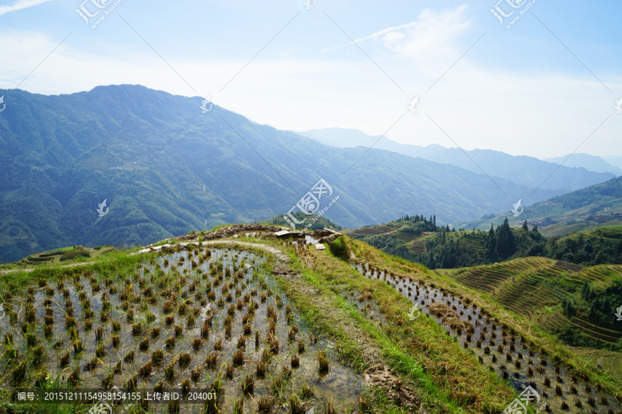 龙脊梯田