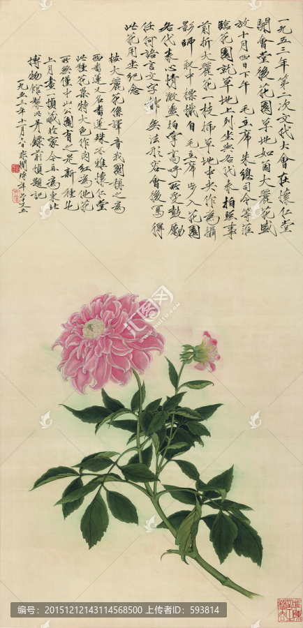 花鳥國畫