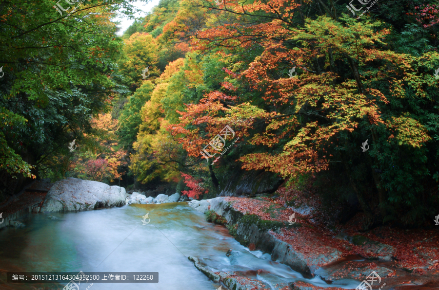 光雾山红叶