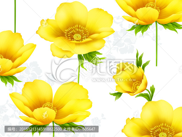 花紋