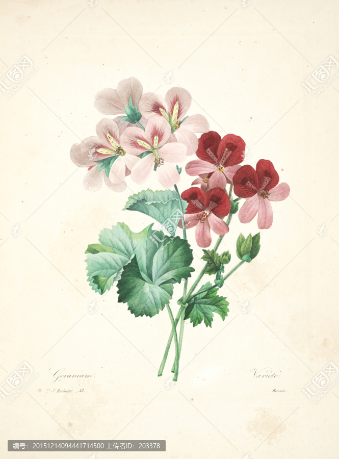 裝飾手繪花掛畫(huà)