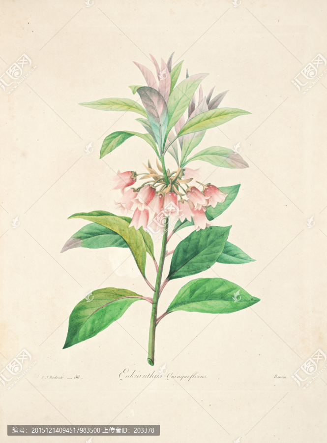 裝飾手繪花掛畫(huà)