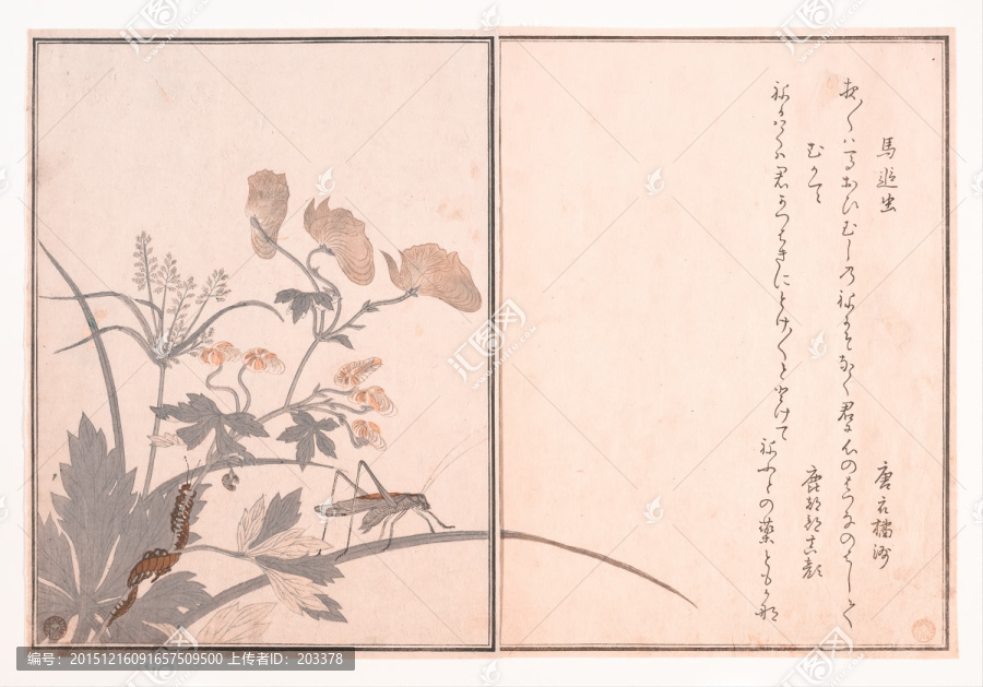 喜多川歌磨作品
