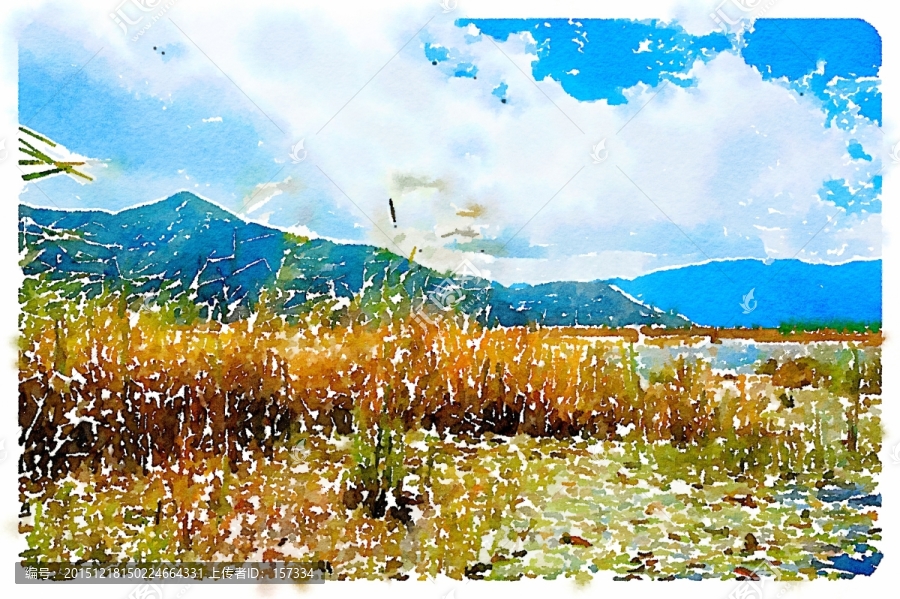 泸沽湖风景插画