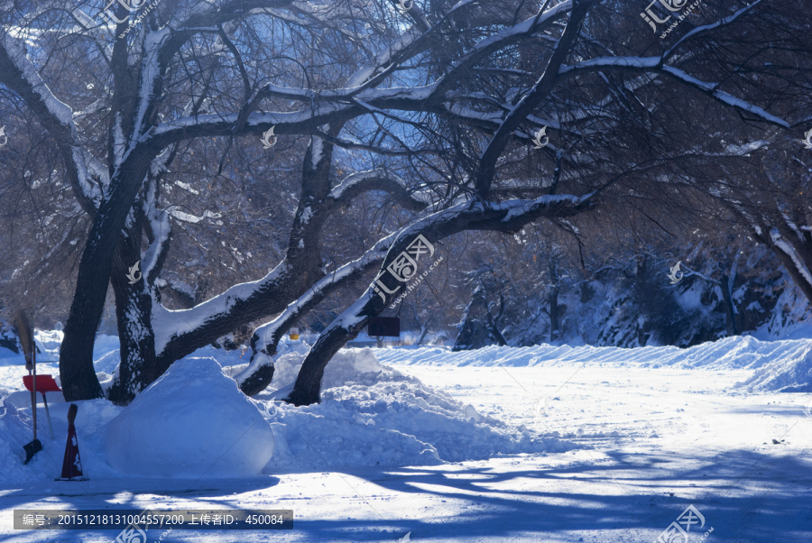 雪树