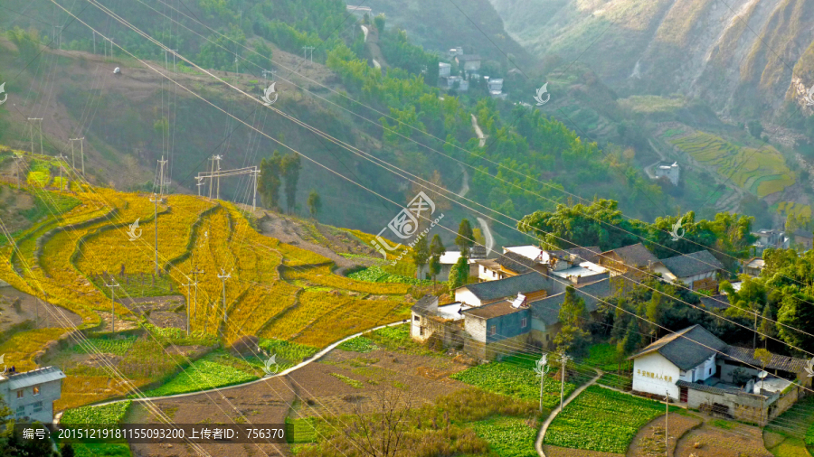 深冬稻田,冬景,梯田,村寨