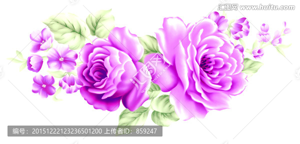 玫瑰花