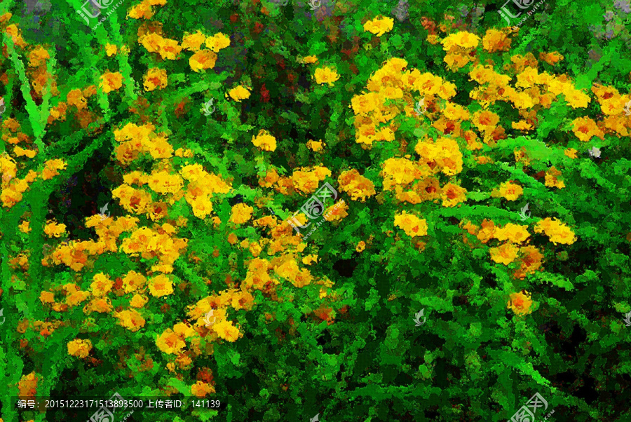 野菊花油畫