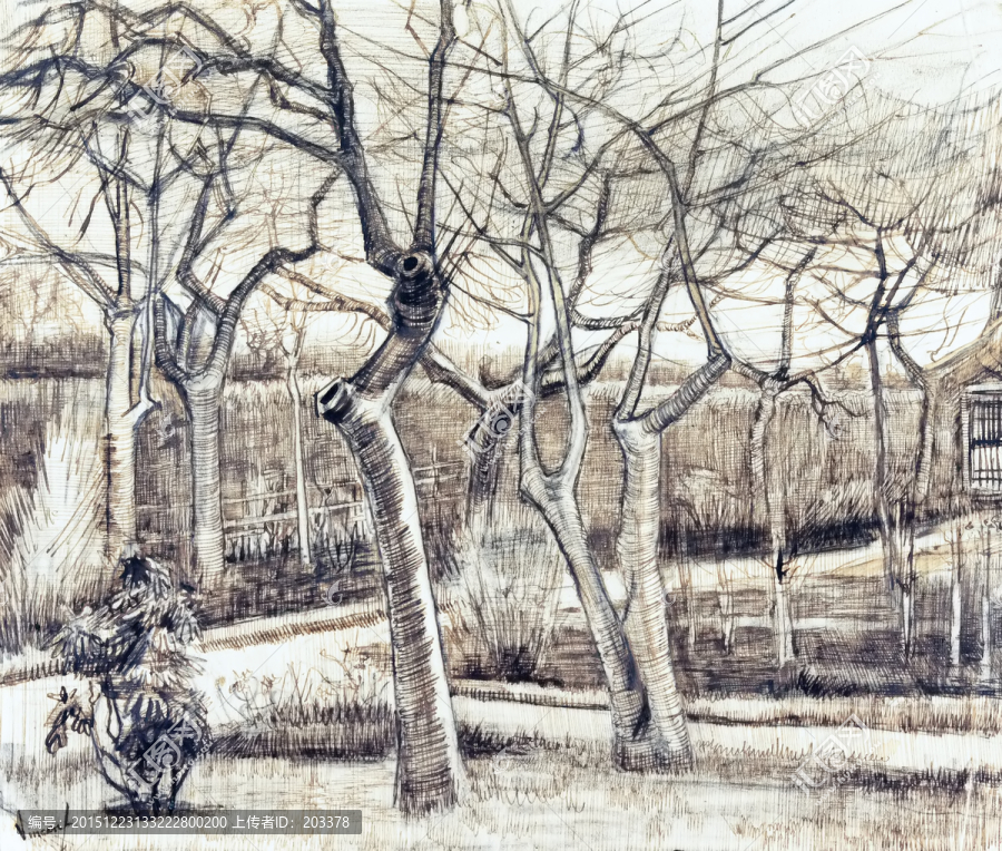 梵高素描,牧師住宅花園