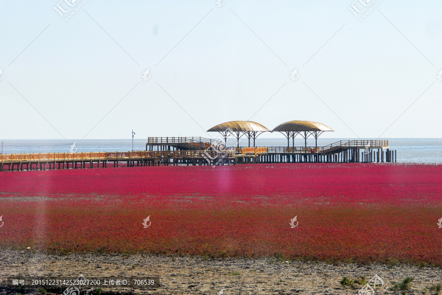 盘锦,红海滩