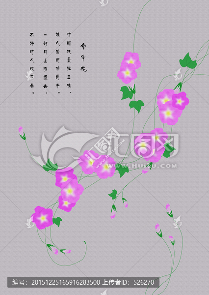 手繪牽牛花