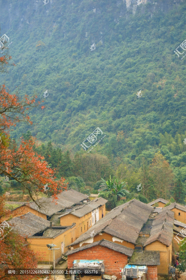 山村红叶