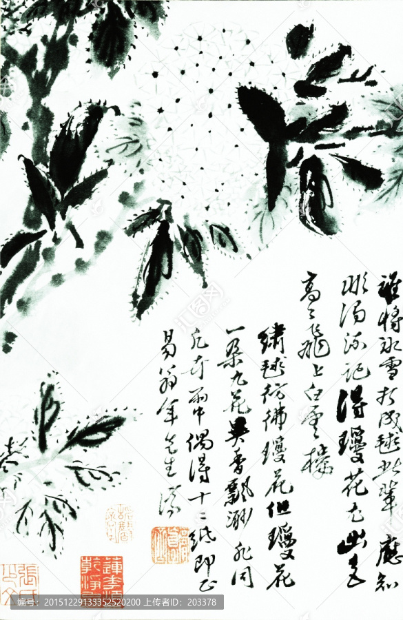 石濤,花鳥高清畫