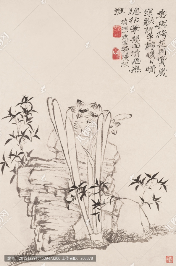 仟像花卉高清畫