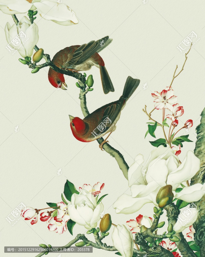 郎世寧,花鳥(niǎo)畫(huà)冊(cè)