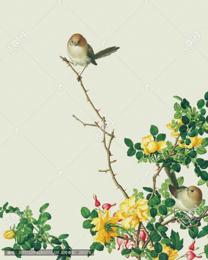 郎世寧,花鳥畫冊