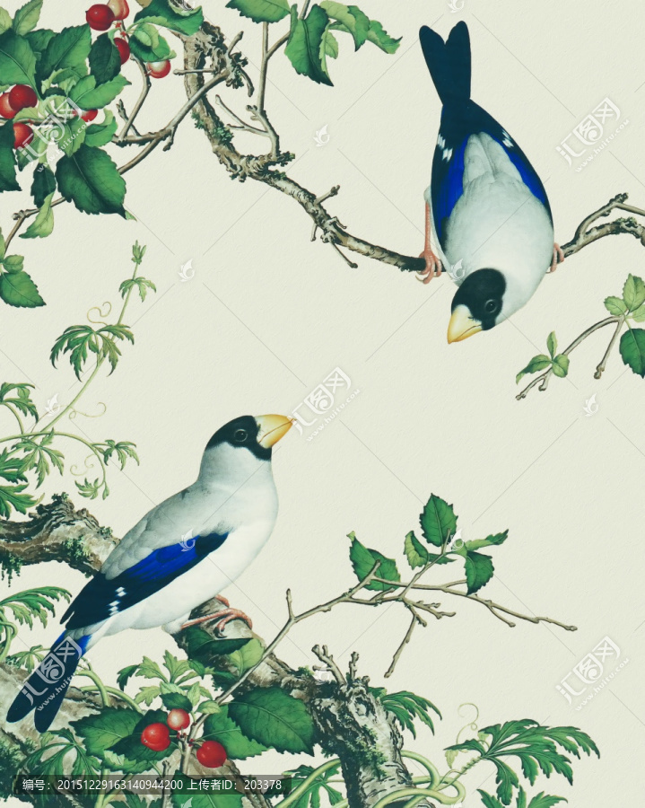 郎世寧,花鳥畫冊