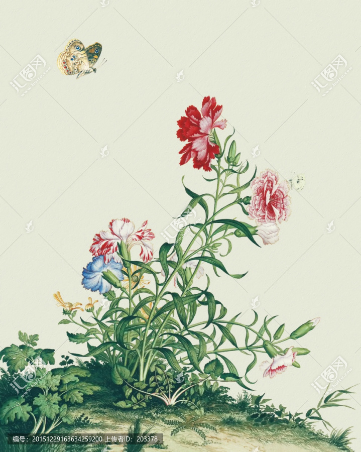 郎世寧,花鳥(niǎo)畫(huà)冊(cè)