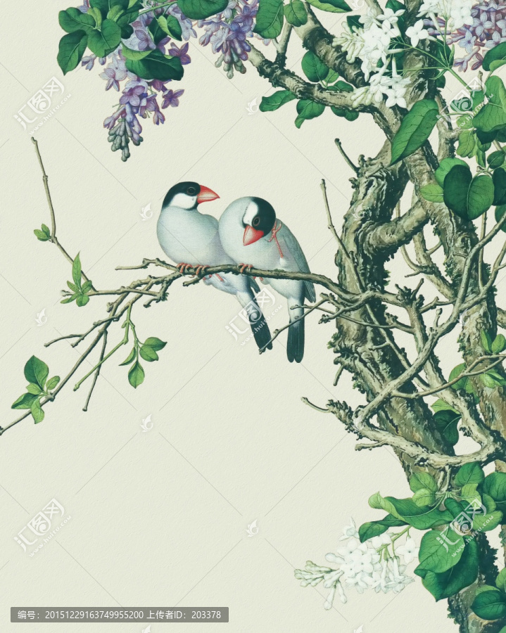 郎世寧,花鳥畫冊