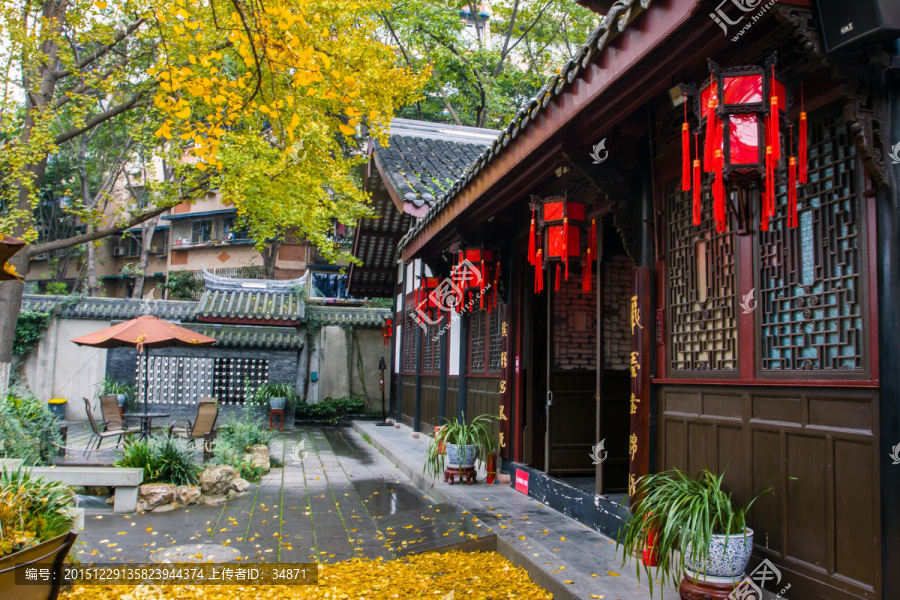 院子里的秋日美景