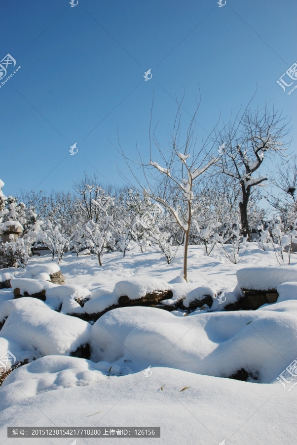 冰天雪地